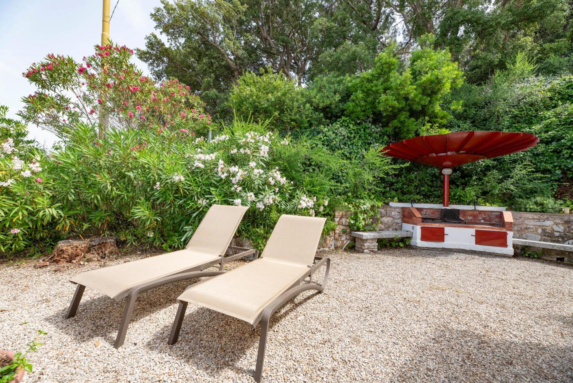 Villa Francy Portoferraio Extérieur photo